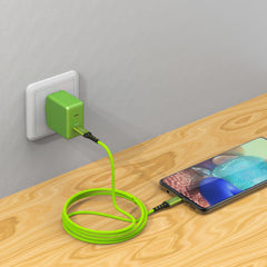 Limebrite Fast Charger Power Adapter + 10ft Braided USB-C Cable (Green)